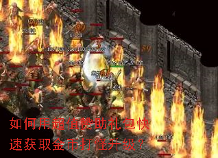 如何用超值赞助礼包快速获取金币打怪升级? 如何用超值赞助礼包快速获取金币打怪升级?