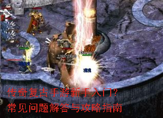 ���渴�������������ţ������������빥��ָ��