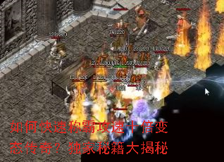 ��ο��ٳưԹ���ʮ����̬���棿�����ؼ������