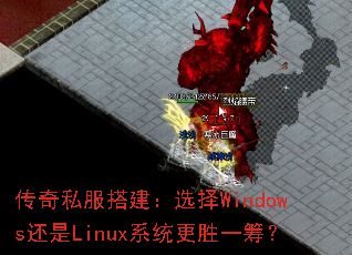 ����˽�����ѡ��Windows����Linuxϵͳ��ʤһ�