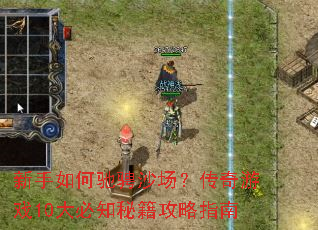 ������γ۳�ɳ����������Ϸ10���֪�ؼ�����ָ��