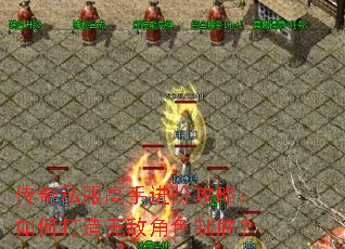 ����˽�����ֽ��׹��ԣ���δ����޵н�ɫ��ʤ��