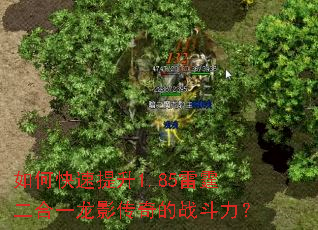 如何快速提升1.85雷霆二合一龙影传奇的战斗力? 如何快速提升1.85雷霆二合一龙影传奇的战斗力?