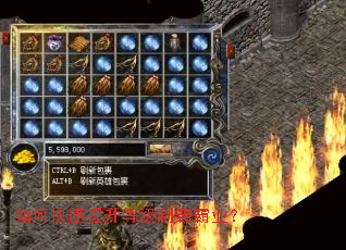 如何快速提升等级制霸霸业? 如何快速提升等级制霸霸业?