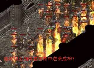 ��Ƥְҵ����ڴ�������Ϯ����