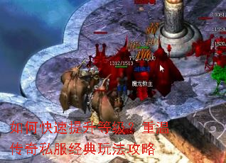 ��ο��������ȼ������´���˽�������淨����