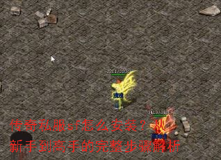 ����˽��sf��ô��װ�������ֵ����ֵ������������