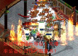 如何快速提升等级?高爆率装备获取技巧有哪些? 如何快速提升等级?高爆率装备获取技巧有哪些?