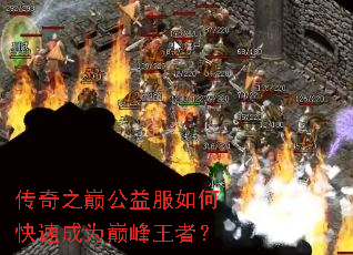 ����֮�۹������ο��ٳ�Ϊ�۷����ߣ�