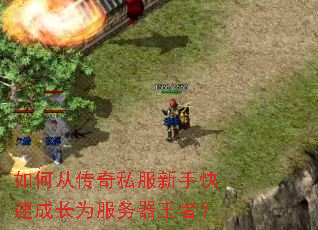 ��δӴ���˽�����ֿ��ٳɳ�Ϊ���������ߣ�