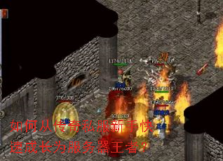 ��δӴ���˽�����ֿ��ٳɳ�Ϊ���������ߣ�