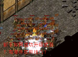 ������γɹ���������������Щʵ�ü��ɣ�