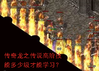 传奇龙之传说高阶技能多少级才能学习? 传奇龙之传说高阶技能多少级才能学习?