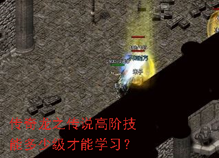 传奇龙之传说高阶技能多少级才能学习? 传奇龙之传说高阶技能多少级才能学习?