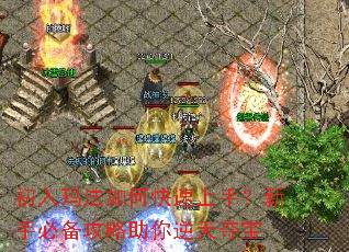 初入玛法如何快速上手?新手必备攻略助你逆天夺宝 初入玛法如何快速上手?新手必备攻略助你逆天夺宝