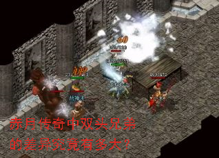 赤月传奇中双头兄弟的差异究竟有多大? 赤月传奇中双头兄弟的差异究竟有多大?