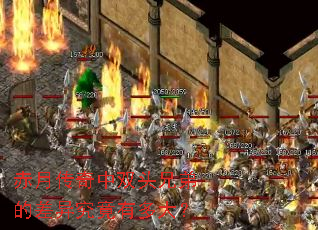 赤月传奇中双头兄弟的差异究竟有多大? 赤月传奇中双头兄弟的差异究竟有多大?