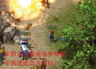 ��δӱ�ѩ�ϻ��������ֿ��ٽ���Ϊ���棿