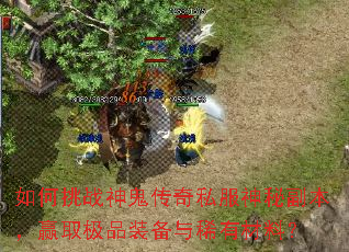 如何挑战神鬼传奇私服神秘副本,赢取极品装备与稀有材料? 如何挑战神鬼传奇私服神秘副本,赢取极品装备与稀有材料?