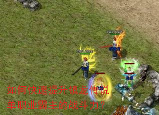 如何快速提升镇龙传说单职业霸主的战斗力? 如何快速提升镇龙传说单职业霸主的战斗力?