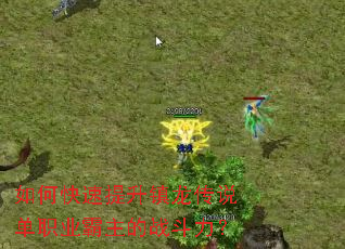 如何快速提升镇龙传说单职业霸主的战斗力? 如何快速提升镇龙传说单职业霸主的战斗力?