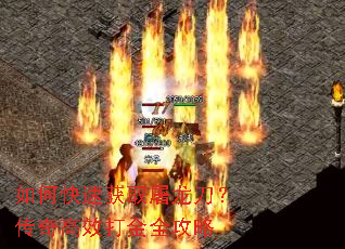 ��ο��ٻ�ȡ�������������Ч���ȫ����