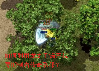 如何利用龙之手镯无视魔御制霸传奇私服? 如何利用龙之手镯无视魔御制霸传奇私服?