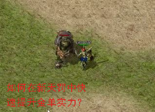 如何在新天罚中快速提升金单实力? 如何在新天罚中快速提升金单实力?