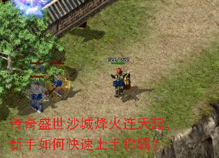 ����ʢ��ɳ�Ƿ��������������ο������ֳưԣ�