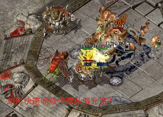 ��ο���ˢȡ����˽��Ԫ����