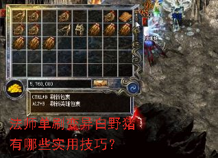 法师单刷变异白野猪有哪些实用技巧? 法师单刷变异白野猪有哪些实用技巧?