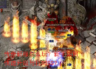 �����·���ô�棿������ο����������BOSS��