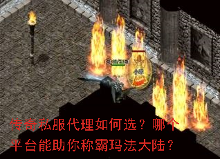 ����˽���������ѡ���ĸ�ƽ̨������ư��귨��½��