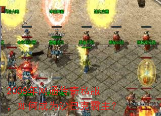 2008����ͨ����˽������γ�Ϊɳ�Ϳ˰�����