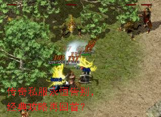 传奇私服永恒告别,经典攻略再回首? 传奇私服永恒告别,经典攻略再回首?