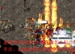 �����̬�ϻ�5���濪����ô�棿ɢ�ˡ�ƽ���������ѡ��ְҵ����ٷ�����