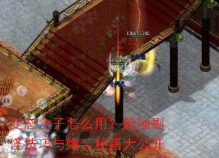 ��̬������ô�ã���ǿˢ�ּ����뱬װ�ؼ��󹫿�