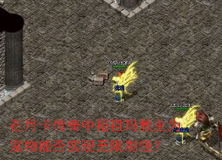 ���¿����������������Ϊ�����ܷ�ʵ������ˢ�֣�