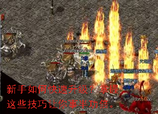 ������ο���������������Щ���������°빦����